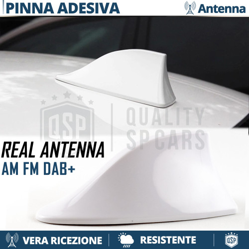 Antenna pinna squalo bianca - pinna, di