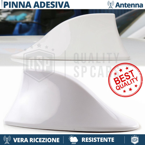 Antenna pinna squalo bianca - di,