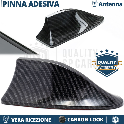 Antenna pinna squalo - pinna,