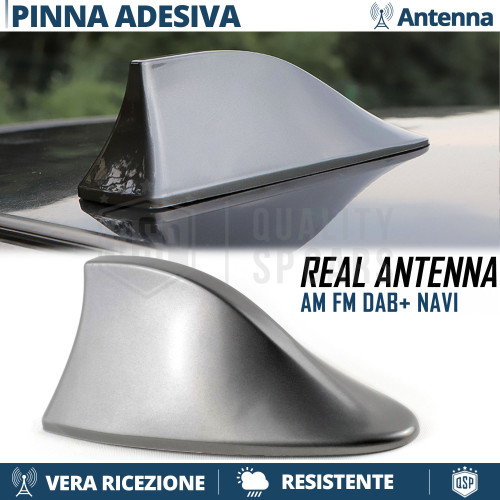Antenna pinna squalo grigia - antenna,
