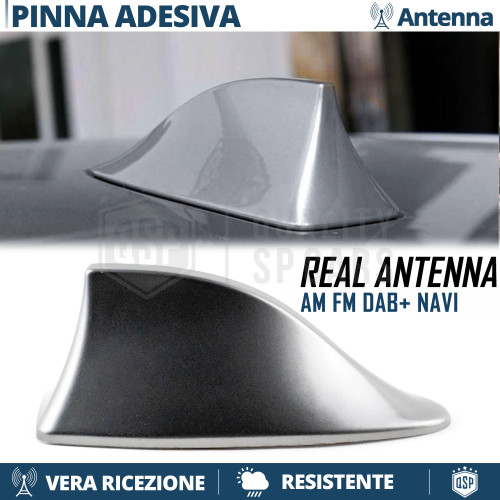 Antenna pinna squalo - pinna, grigia