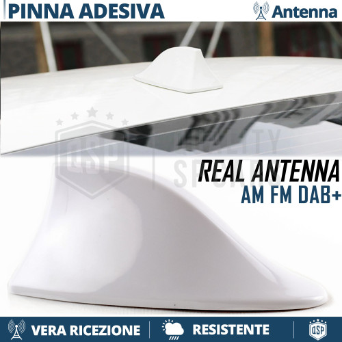 Antenna pinna squalo - antenna,