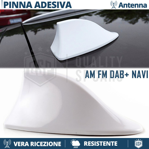 Antenna pinna squalo - di, bianca