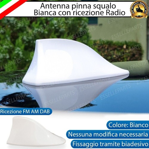 Antenna pinna squalo bianco - pinna,