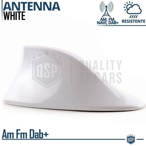 Antenna auto pinna - auto,